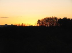 IMG_0155.JPG