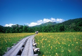 img1.jpg